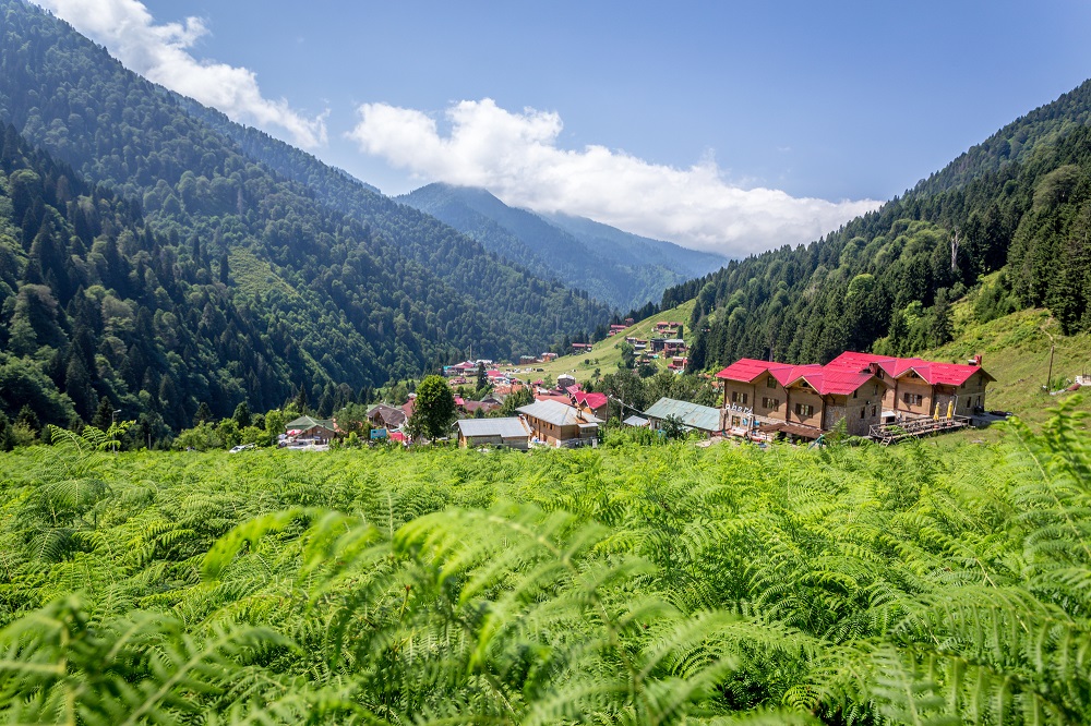 The Lush Ayder Plateau of Rize